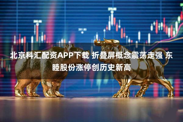 北京科汇配资APP下载 折叠屏概念震荡走强 东睦股份涨停创历史新高