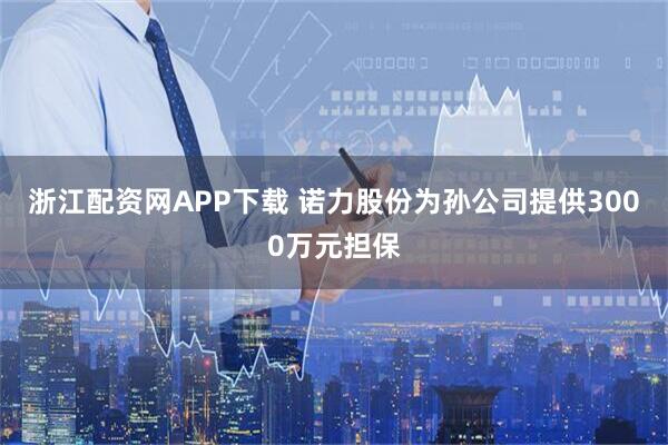浙江配资网APP下载 诺力股份为孙公司提供3000万元担保