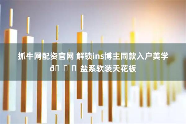 抓牛网配资官网 解锁ins博主同款入户美学🔗盐系软装天花板